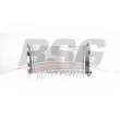 BSG BSG 40-520-045 - Radiateur, refroidissement du moteur