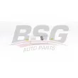 BSG BSG 60-130-008 - Filtre à carburant