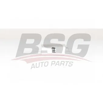 Filtre à carburant BSG BSG 60-130-009 pour MERCEDES-BENZ CLASSE E E 280 T 4-matic - 204cv