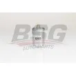 BSG BSG 60-130-010 - Filtre à carburant
