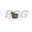 BSG BSG 60-130-019 - Filtre à carburant