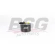 BSG BSG 60-130-021 - Filtre à carburant