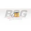 BSG BSG 60-130-022 - Filtre à carburant