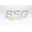 BSG BSG 60-135-031 - Filtre à air