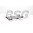 BSG BSG 60-145-031 - Filtre, air de l'habitacle