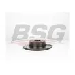 BSG BSG 60-210-049 - Jeu de 2 disques de frein arrière