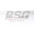 BSG BSG 60-315-065 - Biellette de barre stabilisatrice