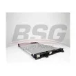 BSG BSG 60-525-031 - Condensateur, climatisation