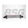 BSG BSG 60-535-004 - Intercooler, échangeur