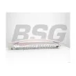BSG BSG 60-535-005 - Intercooler, échangeur