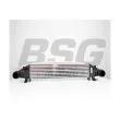 BSG BSG 60-535-009 - Intercooler, échangeur