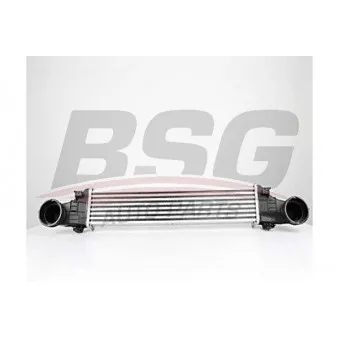 BSG BSG 60-535-011 - Intercooler, échangeur