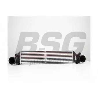 BSG BSG 60-535-012 - Intercooler, échangeur