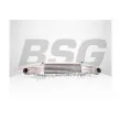 Intercooler, échangeur BSG [BSG 60-535-017]
