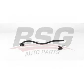 Tuyauterie de carburant BSG OEM 6110702032