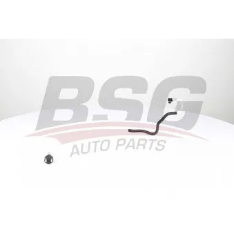 Tuyauterie de carburant BSG OEM A6110702932