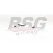 BSG BSG 60-725-011 - Tuyauterie de carburant