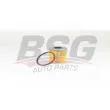 BSG BSG 65-130-010 - Filtre à carburant