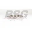 BSG BSG 65-210-024 - Jeu de 2 disques de frein arrière