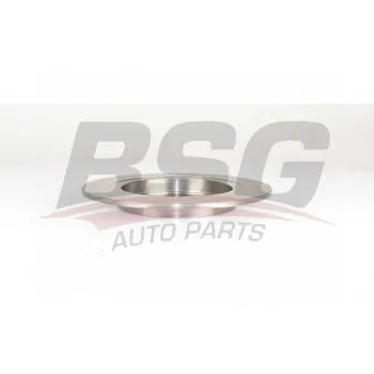 BSG BSG 65-210-024 - Jeu de 2 disques de frein arrière