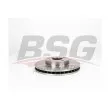 BSG BSG 65-210-026 - Jeu de 2 disques de frein avant