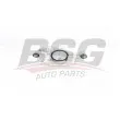 BSG BSG 65-245-007 - Étrier de frein arrière droit