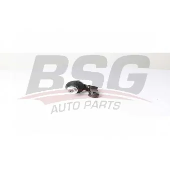 BSG BSG 65-310-088 - Rotule de suspension