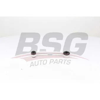 Entretoise/tige, stabilisateur BSG [BSG 65-310-107]