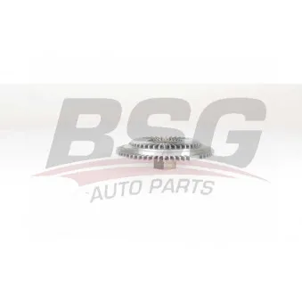 BSG BSG 65-505-001 - Ventilateur, refroidissement du moteur
