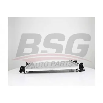 BSG BSG 65-520-039 - Radiateur, refroidissement du moteur