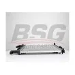 BSG BSG 65-520-049 - Radiateur, refroidissement du moteur