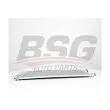 BSG BSG 65-525-022 - Condenseur, climatisation