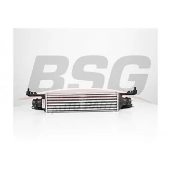Intercooler, échangeur BSG BSG 65-535-012