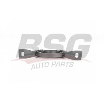 Arbre de transmission, entraînement essieux BSG OEM 20781756
