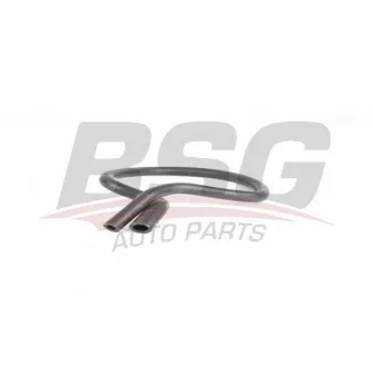 BSG BSG 65-720-168 - Durite de radiateur
