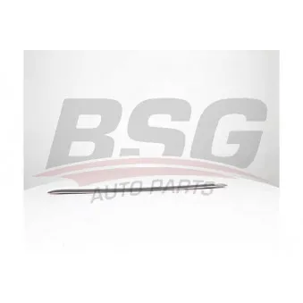 Baguette et bande protectrice, porte arrière gauche BSG BSG 65-925-038