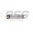Intercooler, échangeur BSG [BSG 70-535-007]