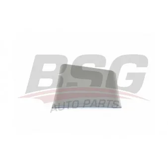 Baguette et bande protectrice, panneau latérale BSG BSG 70-922-042