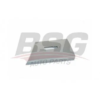 Baguette et bande protectrice, panneau latérale BSG BSG 70-922-044
