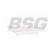 BSG BSG 70-925-006 - Baguette et bande protectrice, porte avant droit 