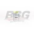 BSG BSG 75-130-002 - Filtre à carburant