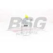 BSG BSG 75-130-004 - Filtre à carburant