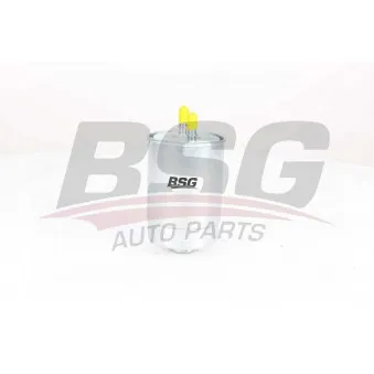 BSG BSG 75-130-004 - Filtre à carburant