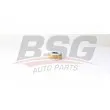 BSG BSG 75-130-009 - Filtre à carburant