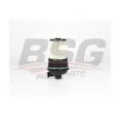 BSG BSG 75-130-016 - Filtre à carburant