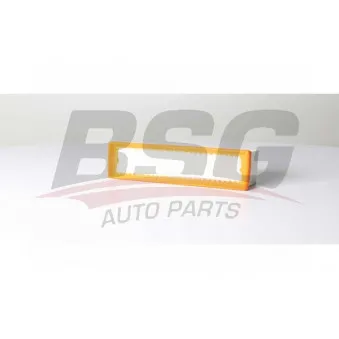 Filtre à air BSG OEM 165464064R