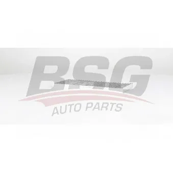 Filtre, air de l'habitacle BSG BSG 75-145-009 pour RENAULT LAGUNA 2.0 DCI GT - 178cv