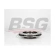 BSG BSG 75-210-001 - Jeu de 2 disques de frein avant