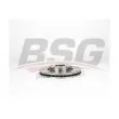 BSG BSG 75-210-002 - Jeu de 2 disques de frein avant