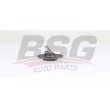 BSG BSG 75-310-053 - Rotule de suspension